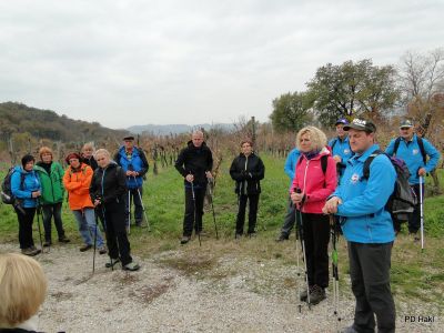 Marjan_Pauric_Pohod_po_Vitoveljski_krozni_poti_z_vzponom_na_Kopitnik_2017-008.JPG
