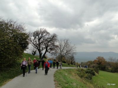 Marjan_Pauric_Pohod_po_Vitoveljski_krozni_poti_z_vzponom_na_Kopitnik_2017-015.JPG