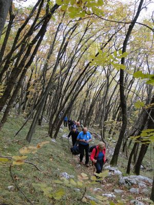 Marjan_Pauric_Pohod_po_Vitoveljski_krozni_poti_z_vzponom_na_Kopitnik_2017-034.JPG