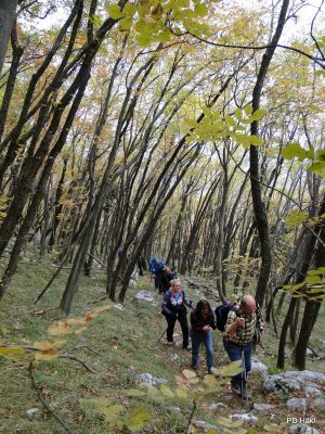 Marjan_Pauric_Pohod_po_Vitoveljski_krozni_poti_z_vzponom_na_Kopitnik_2017-035.JPG