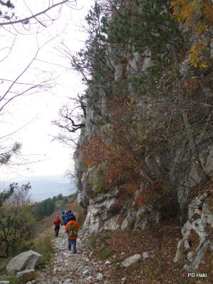 Marjan_Pauric_Pohod_po_Vitoveljski_krozni_poti_z_vzponom_na_Kopitnik_2017-133.JPG