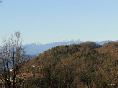 Marjan_Pauric_Stolpnik_2016_-045.JPG