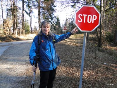 Marjan_Pauric_Stolpnik_2016_-054.JPG