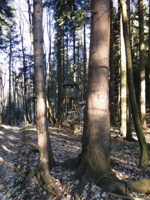 Marjan_Pauric_Stolpnik_2016_-062.JPG