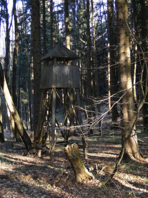 Marjan_Pauric_Stolpnik_2016_-063.JPG