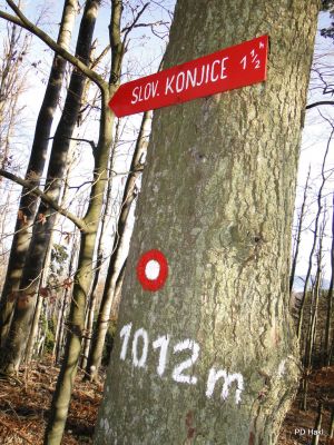 Marjan_Pauric_Stolpnik_2016_-095.JPG