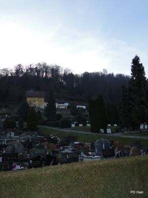 Marjan_Pauric_Stolpnik_2016_-124.JPG