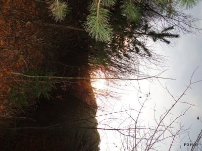 Marjan_Pauric_Stolpnik_2017-022.JPG