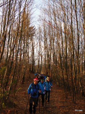 Marjan_Pauric_Stolpnik_2017-027.JPG