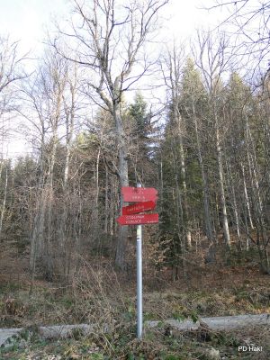 Marjan_Pauric_Stolpnik_2017-041.JPG