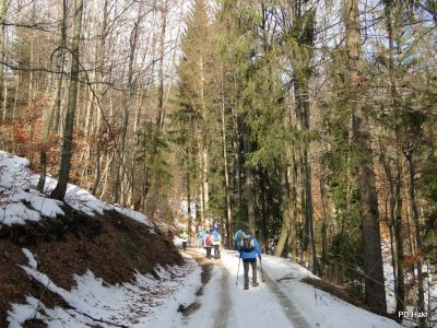 Marjan_Pauric_Stolpnik_2017-061.JPG