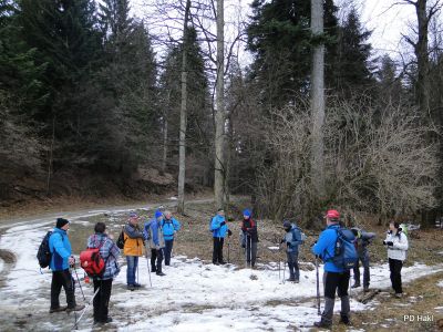 Marjan_Pauric_Stolpnik_2017-116.JPG
