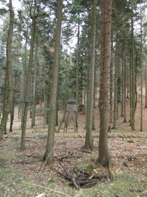 Marjan_Pauric_Stolpnik_2017-117.JPG