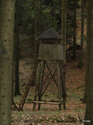 Marjan_Pauric_Stolpnik_2017-118.JPG