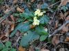 Marjan_Pauric_Stolpnik_2017-030.JPG