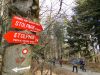 Marjan_Pauric_Stolpnik_2017-054.JPG