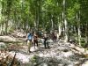 Marjan_Pauric_Triglav_2018_neuraden_pohod-076.JPG