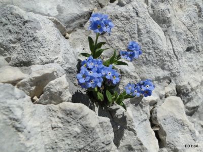 Marjan_Pauric_Triglav_2019-047.JPG