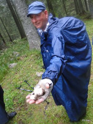 Marjan_Pauric_Triglav_2019-113.JPG