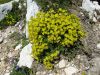 Marjan_Pauric_Triglav_2019-037.JPG