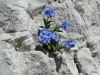 Marjan_Pauric_Triglav_2019-047.JPG