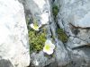 Marjan_Pauric_Triglav_2019-057.JPG
