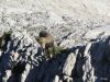 Marjan_Pauric_Triglav_2019-084.JPG