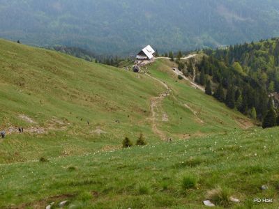 Milan_Poharic_Golica_2021-127.JPG