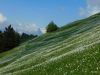 Milan_Poharic_Golica_2021-077.JPG
