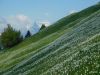 Milan_Poharic_Golica_2021-079.JPG