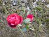 Milan_Poharic_Sv_Duh_na_ostrem_vrhu-015.JPG
