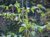 Milan_Poharic_Sv_Duh_na_ostrem_vrhu-020.JPG