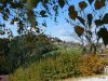 Milan_Poharic_Sv_Duh_na_ostrem_vrhu-102.JPG