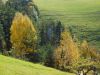 Milan_Poharic_Sv_Duh_na_ostrem_vrhu-104.JPG
