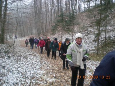 Trstenjakov pohod 10.1.2009
