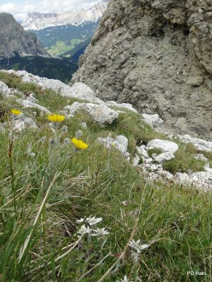 Pauric_Marjan_Dolomiti_Pizboe_2017-032.JPG