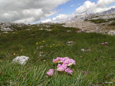 Pauric_Marjan_Dolomiti_Pizboe_2017-035.JPG