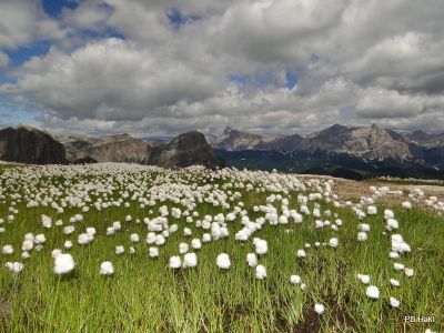 Pauric_Marjan_Dolomiti_Pizboe_2017-040.JPG