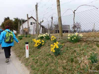 Poharic_Milan_Pomurska_Planinska_Pot_2022-073.JPG