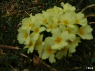 Poharic_Milan_Pomurska_Planinska_Pot_2022-075.JPG