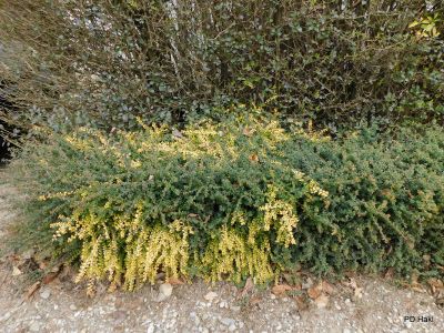 Poharic_Milan_Pomurska_Planinska_Pot_2022-079.JPG
