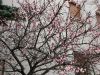 Poharic_Milan_Pomurska_Planinska_Pot_2022-062.JPG