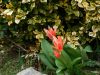 Poharic_Milan_Pomurska_Planinska_Pot_2022-074.JPG