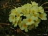 Poharic_Milan_Pomurska_Planinska_Pot_2022-075.JPG