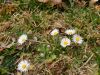 Poharic_Milan_Pomurska_Planinska_Pot_2022-078.JPG