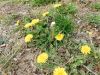 Poharic_Milan_Pomurska_Planinska_Pot_2022-098.JPG