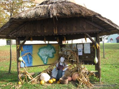 Ključne besede: PPP