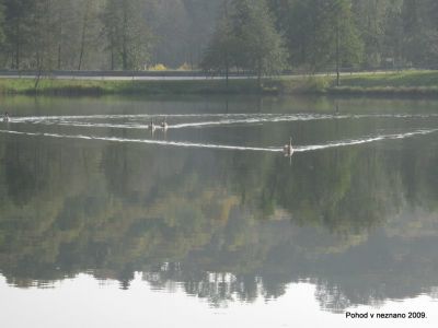 Ključne besede: PPP