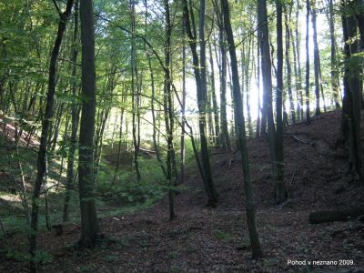 Ključne besede: PPP