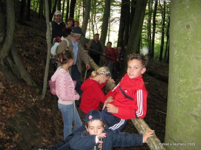 Ključne besede: PPP